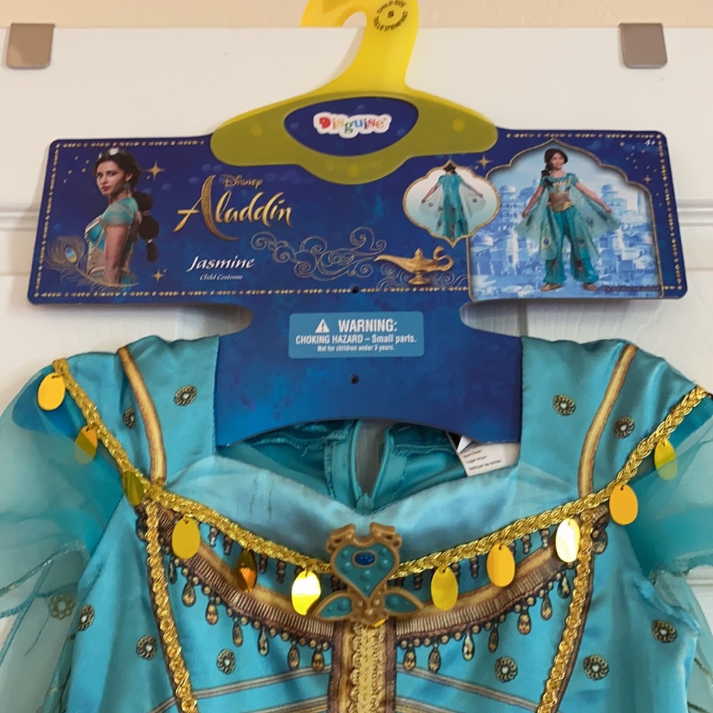 Aladdin Custom - Picture 5 of 8